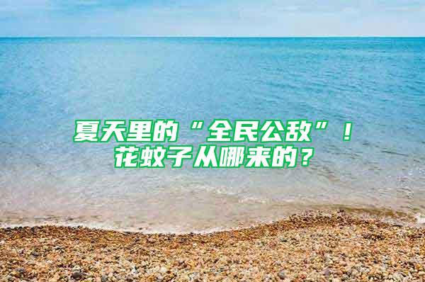 夏天里的“全民公敌”！花蚊子从哪来的？