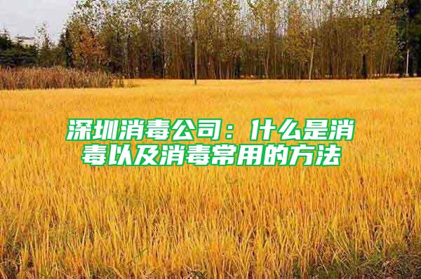 深圳消毒公司：什么是消毒以及消毒常用的方法