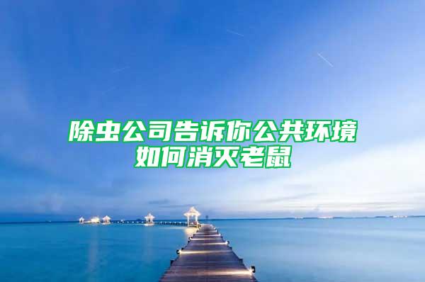 除虫公司告诉你公共环境如何消灭老鼠