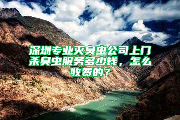 深圳专业灭臭虫公司上门杀臭虫服务多少钱，怎么收费的？