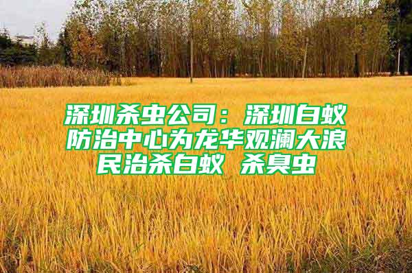 深圳杀虫公司：深圳白蚁防治中心为龙华观澜大浪民治杀白蚁 杀臭虫