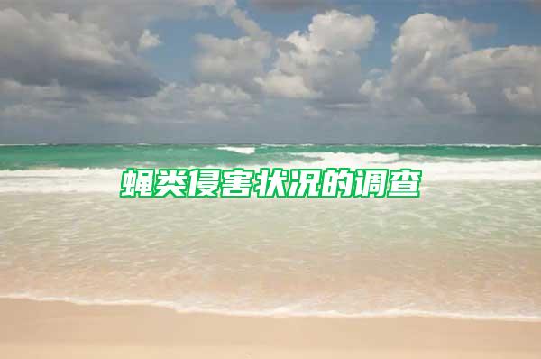 蝇类侵害状况的调查