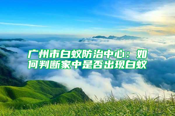 广州市白蚁防治中心：如何判断家中是否出现白蚁