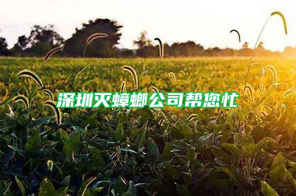 深圳灭蟑螂公司帮您忙