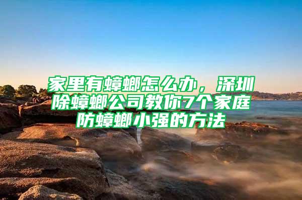 家里有蟑螂怎么办，深圳除蟑螂公司教你7个家庭防蟑螂小强的方法