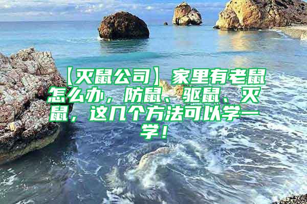 【灭鼠公司】家里有老鼠怎么办，防鼠、驱鼠、灭鼠，这几个方法可以学一学！