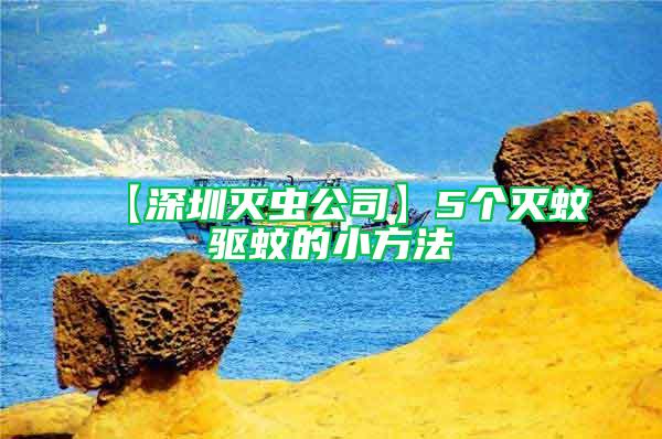 【深圳灭虫公司】5个灭蚊驱蚊的小方法