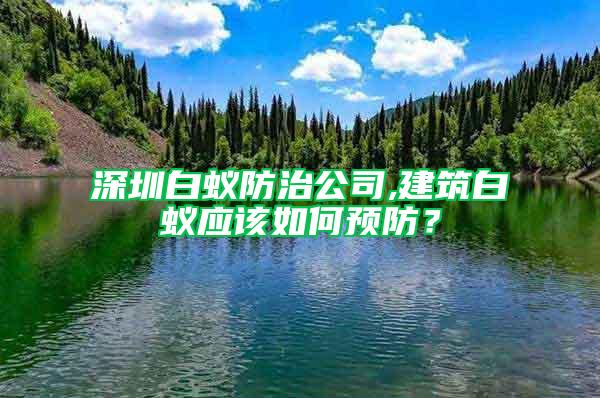 深圳白蚁防治公司,建筑白蚁应该如何预防？