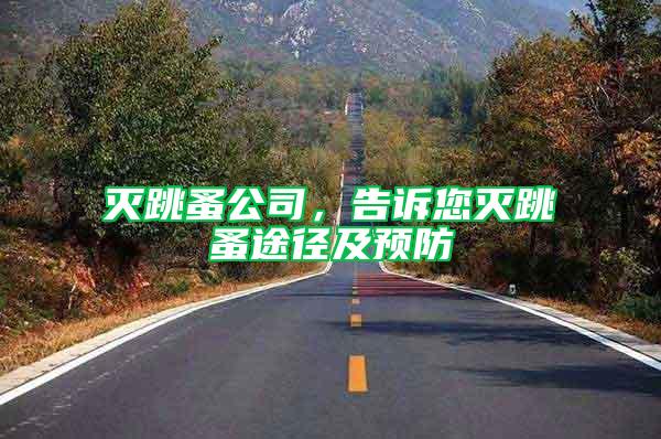 灭跳蚤公司，告诉您灭跳蚤途径及预防