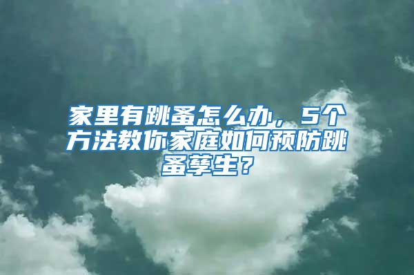 家里有跳蚤怎么办，5个方法教你家庭如何预防跳蚤孳生？