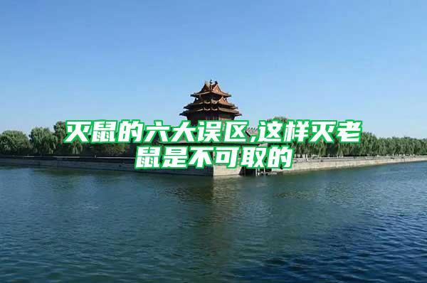 灭鼠的六大误区,这样灭老鼠是不可取的