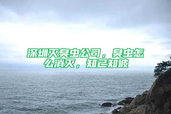 深圳灭臭虫公司，臭虫怎么消灭，知己知彼