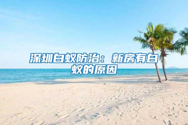 深圳白蚁防治：新房有白蚁的原因