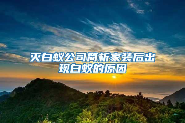 灭白蚁公司简析家装后出现白蚁的原因