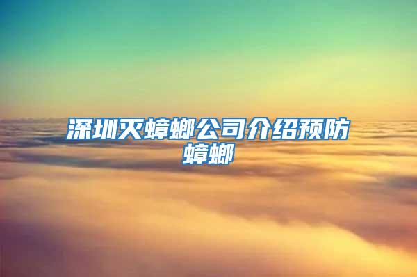 深圳灭蟑螂公司介绍预防蟑螂