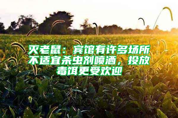 灭老鼠：宾馆有许多场所不适宜杀虫剂喷洒，投放毒饵更受欢迎