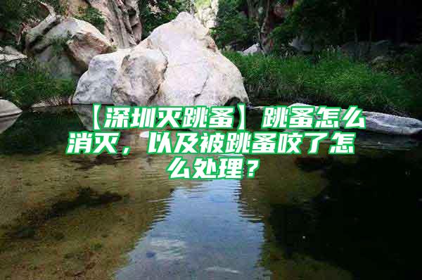 【深圳灭跳蚤】跳蚤怎么消灭，以及被跳蚤咬了怎么处理？