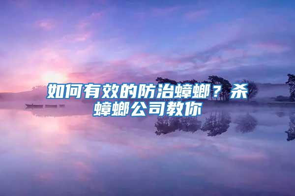 如何有效的防治蟑螂？杀蟑螂公司教你