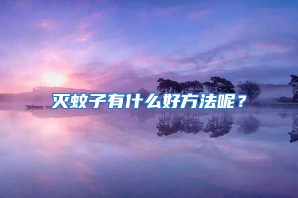 灭蚊子有什么好方法呢？