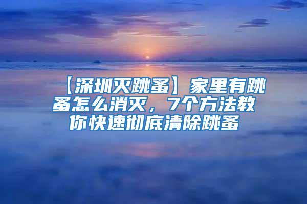 【深圳灭跳蚤】家里有跳蚤怎么消灭，7个方法教你快速彻底清除跳蚤