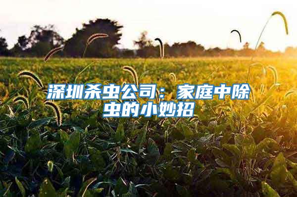 深圳杀虫公司：家庭中除虫的小妙招