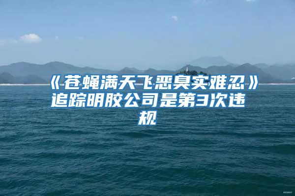 《苍蝇满天飞恶臭实难忍》追踪明胶公司是第3次违规