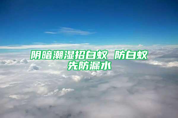 阴暗潮湿招白蚁 防白蚁先防漏水