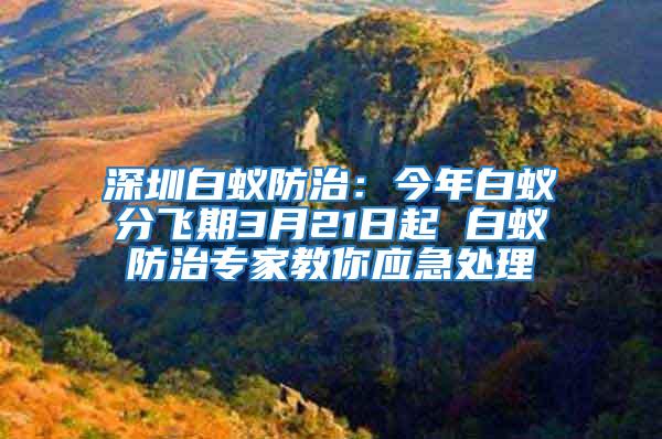 深圳白蚁防治：今年白蚁分飞期3月21日起 白蚁防治专家教你应急处理