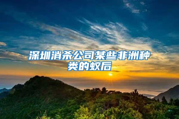 深圳消杀公司某些非洲种类的蚁后