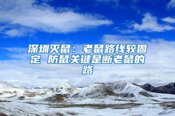 深圳灭鼠：老鼠路线较固定 防鼠关键是断老鼠的路