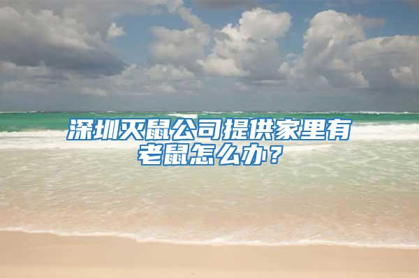 深圳灭鼠公司提供家里有老鼠怎么办？