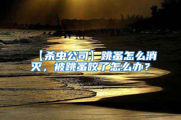 【杀虫公司】跳蚤怎么消灭，被跳蚤咬了怎么办？