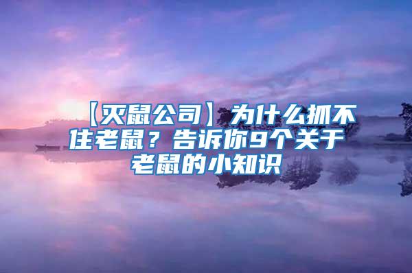 【灭鼠公司】为什么抓不住老鼠？告诉你9个关于老鼠的小知识