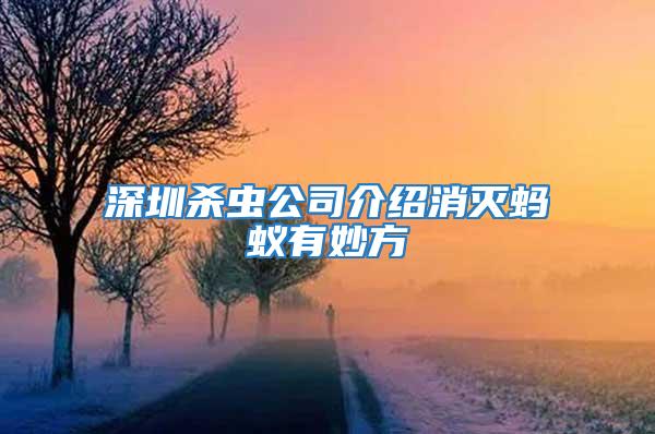 深圳杀虫公司介绍消灭蚂蚁有妙方