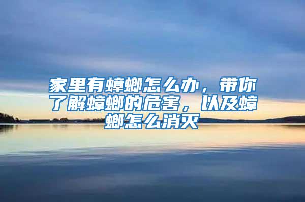 家里有蟑螂怎么办，带你了解蟑螂的危害，以及蟑螂怎么消灭