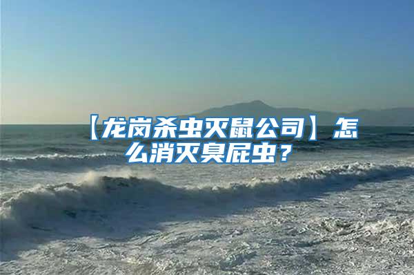 【龙岗杀虫灭鼠公司】怎么消灭臭屁虫？