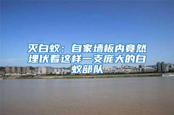 灭白蚁：自家墙板内竟然埋伏着这样一支庞大的白蚁部队