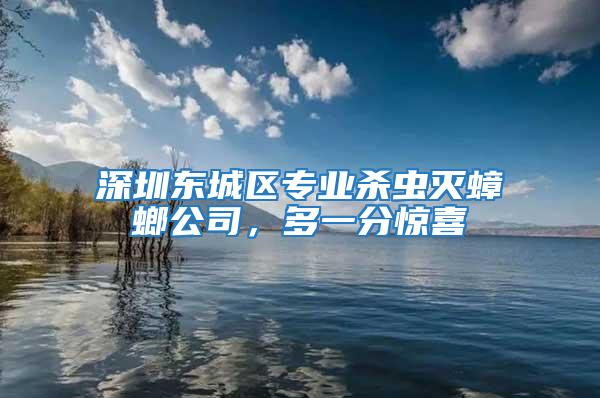 深圳东城区专业杀虫灭蟑螂公司，多一分惊喜