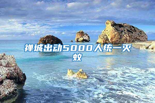 禅城出动5000人统一灭蚊