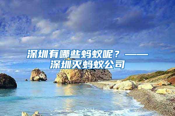 深圳有哪些蚂蚁呢？——深圳灭蚂蚁公司