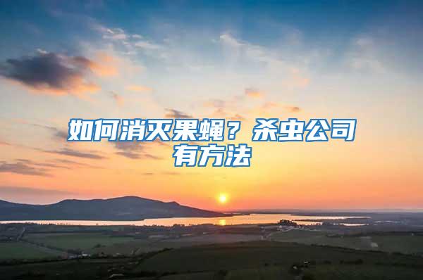 如何消灭果蝇？杀虫公司有方法