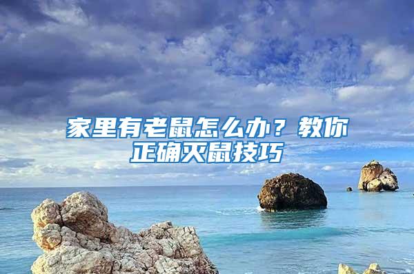 家里有老鼠怎么办？教你正确灭鼠技巧