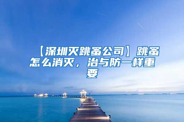 【深圳灭跳蚤公司】跳蚤怎么消灭，治与防一样重要