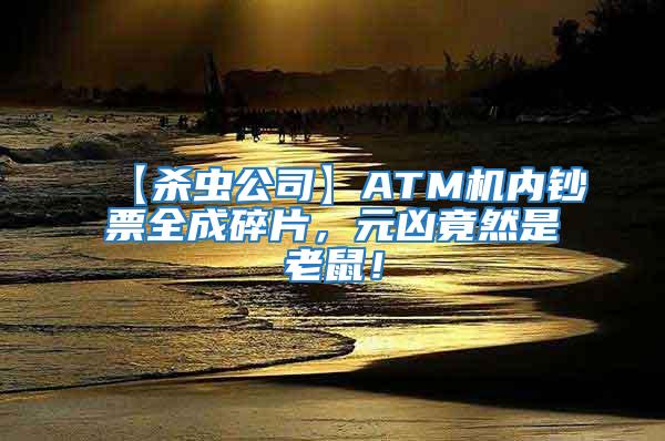 【杀虫公司】ATM机内钞票全成碎片，元凶竟然是老鼠！