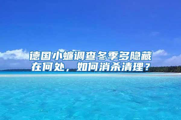 德国小蠊调查冬季多隐藏在何处，如何消杀清理？