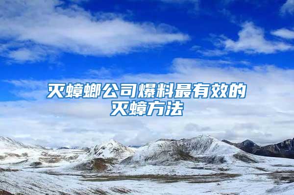 灭蟑螂公司爆料最有效的灭蟑方法