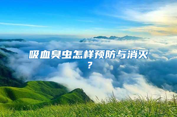 吸血臭虫怎样预防与消灭？