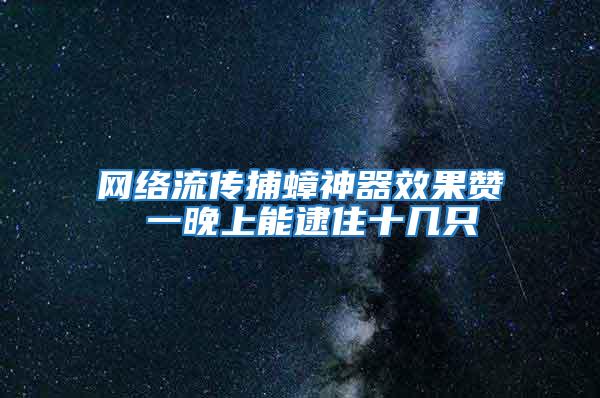 网络流传捕蟑神器效果赞 一晚上能逮住十几只