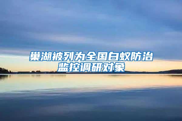 巢湖被列为全国白蚁防治监控调研对象