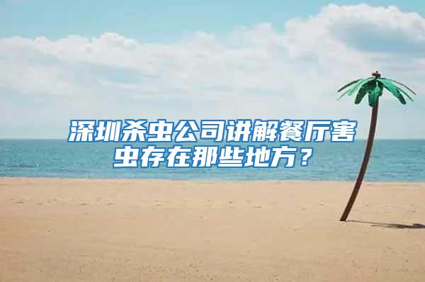 深圳杀虫公司讲解餐厅害虫存在那些地方？